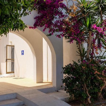 Amore Hotel Apts Paralimni Zewnętrze zdjęcie